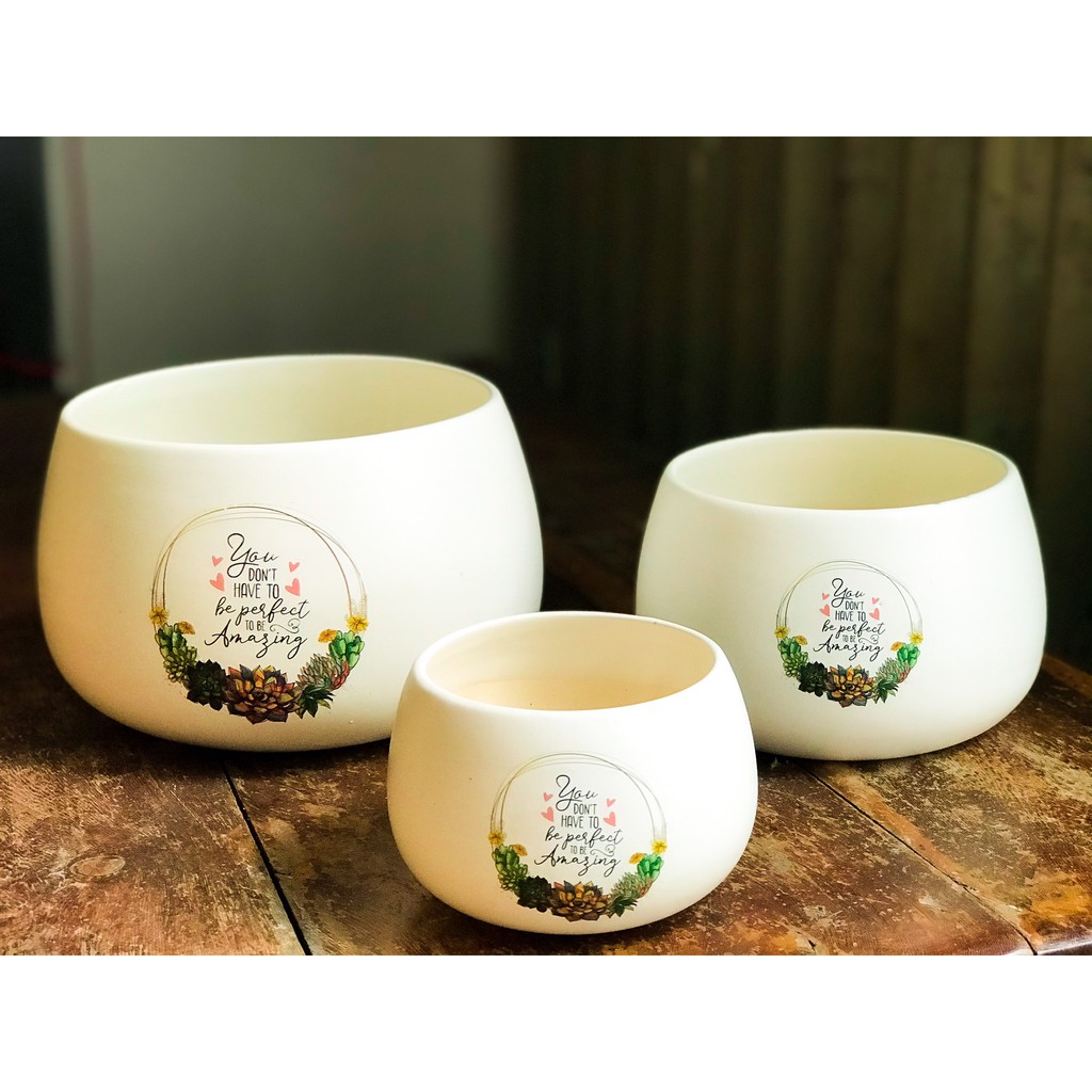 CHẬU HẠT DẺ TRỒNG SEN ĐÁ, CÂY PHONG THỦY, CÂY BONSAI MINI