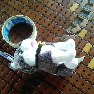 Gấu bông của nhi nguyen