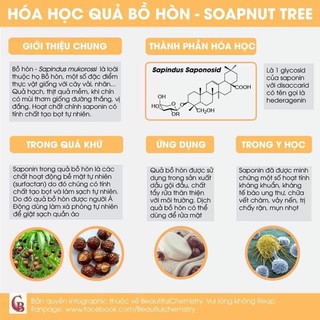 Hạt giống Bồ Hòn Huna'shome 100 Hạt