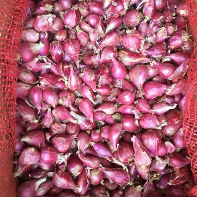 1kg Hành tím khô (hành ta) nhà trồng loại 1