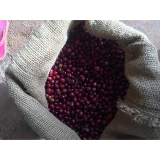 500g Cà Phê Rang Mộc 100% Nguyên Chất HANDMADE