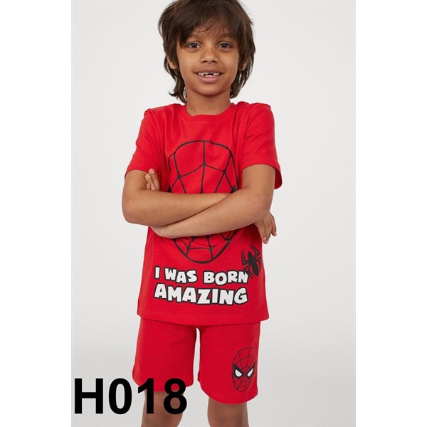 H018 Bộ bé trai nhiều hình