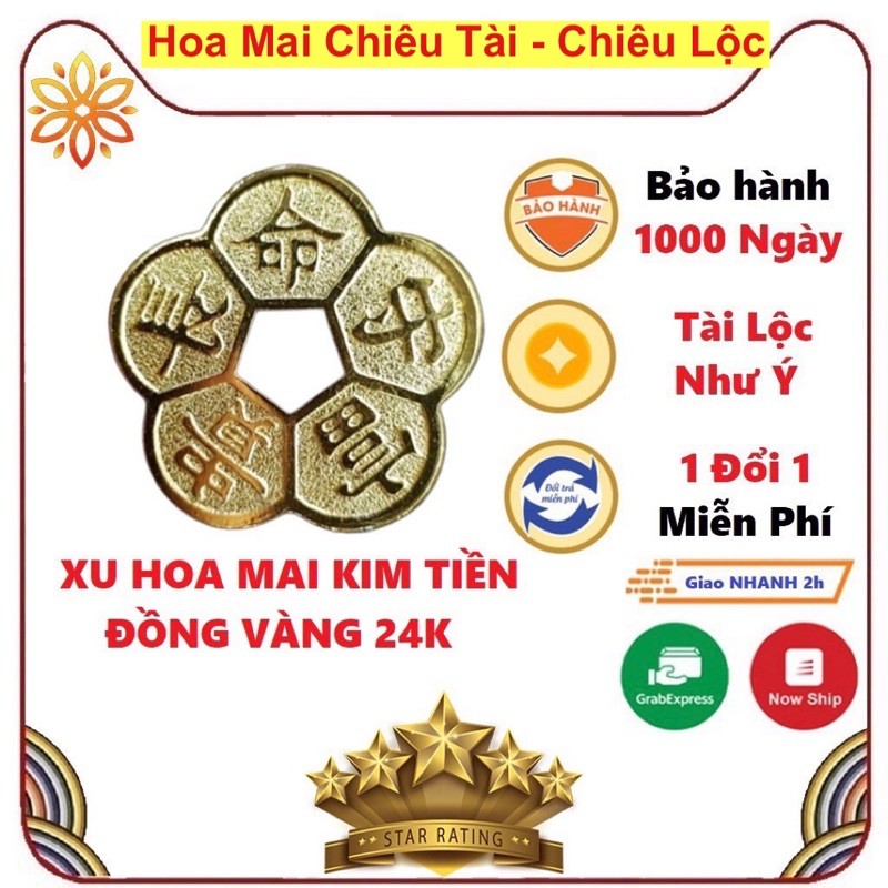 Hoa Mai Kim Tiền Kèm Hộp Gấm - Đồng Xu Hoa Mai Giá Sỉ