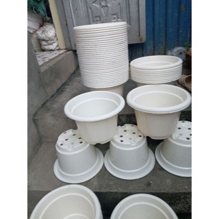 20 cái chậu tròn trơn phi 24cm x16cm