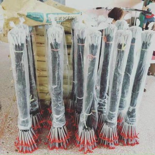 cây thông cống que