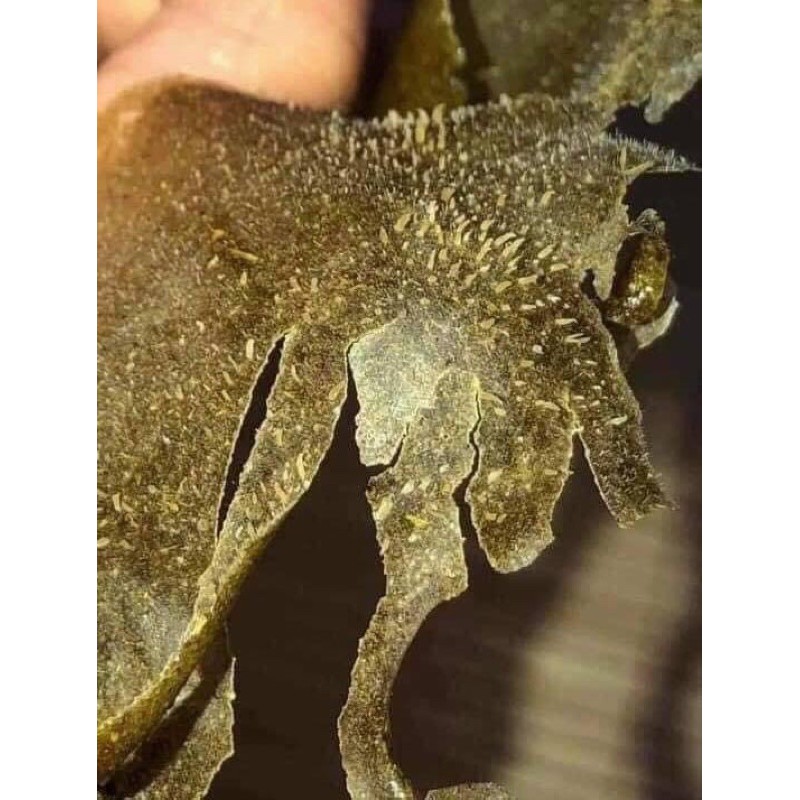 BỘT LỘT MỤN TRÀ XANH