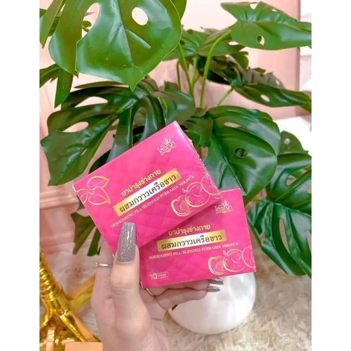 Mầm đậu nành Pueraria Mirifica chăm sóc ngực Thái Lan