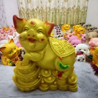 Heo thỏi vàng