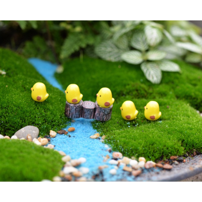 Phụ kiện trang trí tiểu cảnh terrarium gà con vàng size mini decor chậu cây