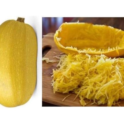 Hạt Giống Bí Sợi Mì Ý Spaghetti (A1.302| C38A*W44) tặng kèm gói thuốc kích hat nảy mầm
