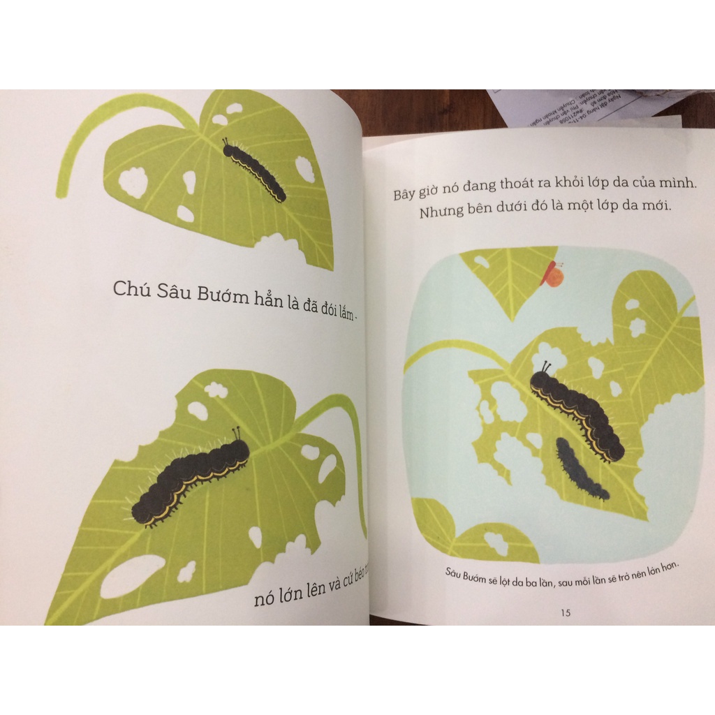 Sách - Câu chuyện khoa học cho bé - A Science Storybook (Bộ 4 quyển)