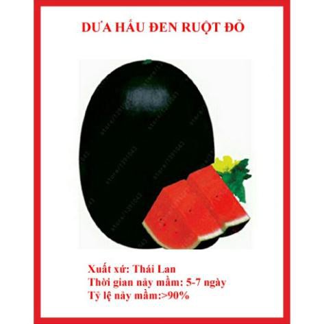 Hạt giống dưa hấu đen ruột đỏ siêu ngọt 10 hạt