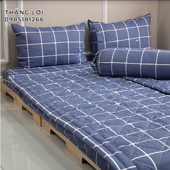 Drap Cotton 100% Thắng Lợi chính hãng Mẫu C15 IN LOGO THẮNG LỢI vệ sinh dễ dàng.