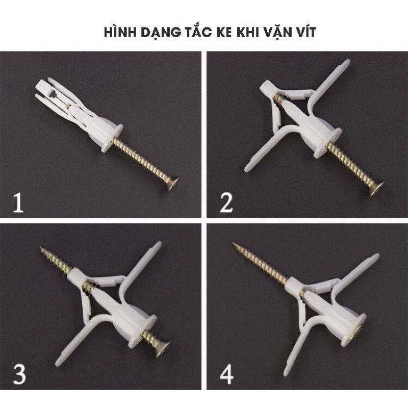 Combo 50 Vít nở tắc ke bướm đinh vít Thạch cao