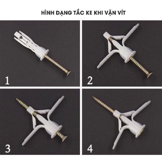 50 bộ vít nở thạch cao