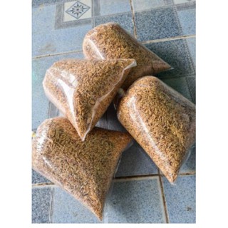 Trấu tươi (gói 2 dm3)-UtNho