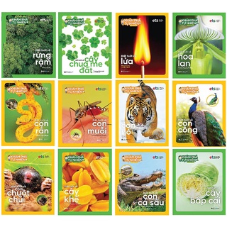 Sách - Bộ khám phá tự nhiên quanh em