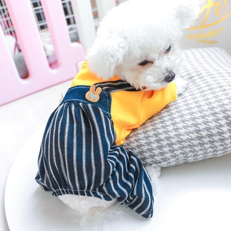 Bộ liền 4 chân cho chó mèo áo nỉ vàng quần kẻ kute