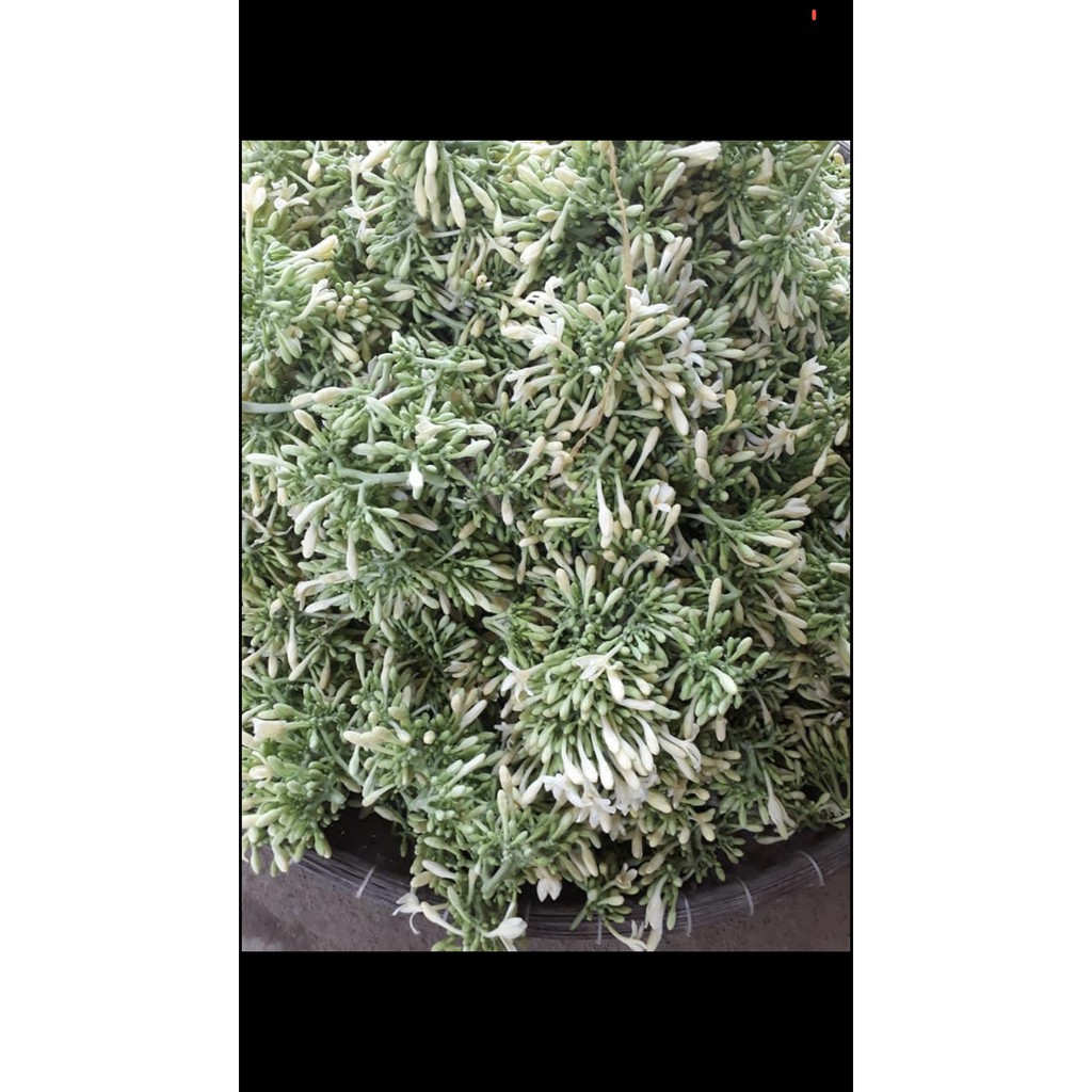 Hoa đu đủ đực loại nhất hỗ trợ tiêu hoá, chống ung thư, hạ đường huyết, giảm viêm loét dạ dày 500gr | BigBuy360 - bigbuy360.vn