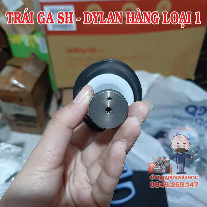 TRÁI GA DÙ SH - DYLAN HÀNG XỊN GIÁ TỐT PT506