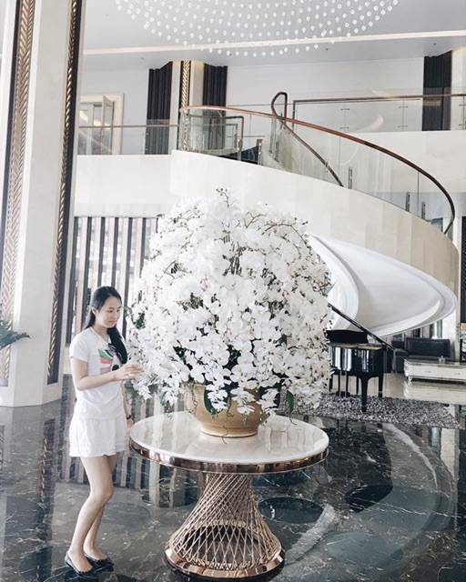 Áo thun ysl hình cá mập