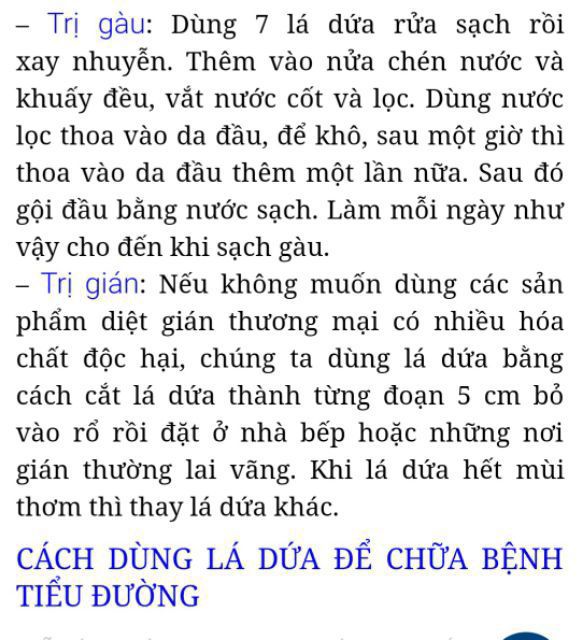 100g trà lá dứa (lá nếp thơm)