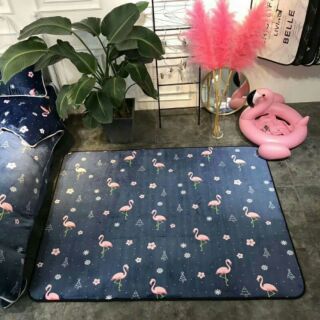 Thảm.trải sàn.nhung min khổ m9*2m