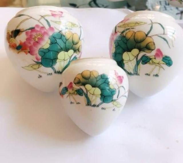 Cóng tầu đẹp cho mi, khướu