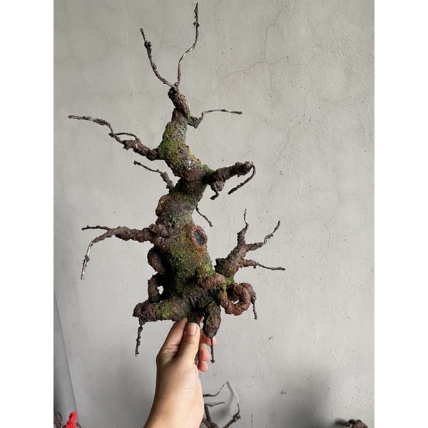Gốc bonsai, thân cây bonsai Mẫu tử 25cm,làm hoa mai đào,hoa Handmade trang trí nhà cửa