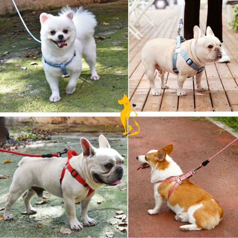 Dây dắt chó mèo Dương Ninh kèm yếm dễ thương nhiều màu DD15