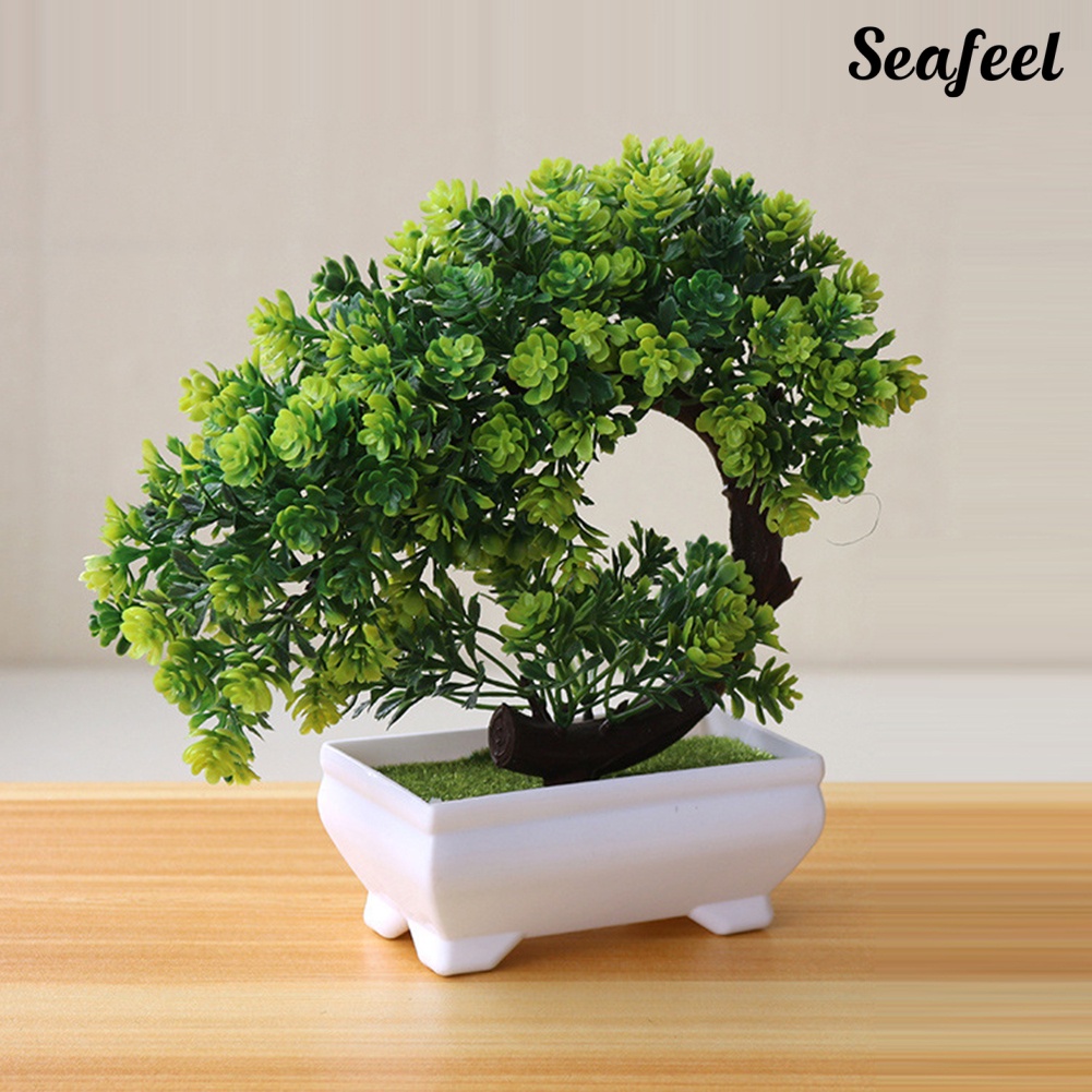 Chậu Cây Bonsai Giả Trang Trí Bàn
