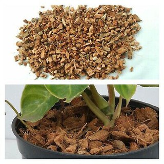 Sơ dừa cắt miếng, sơ dừa băm