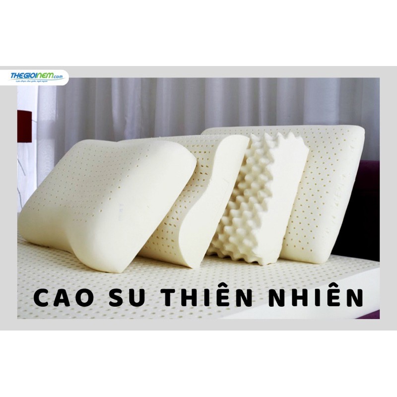 Gối Ngủ Ngon Cao Su MASSAGE VENTRY Cao Cấp Gối Cao Su Non Người Lớn Thoái Hóa Đốt Sống Cổ