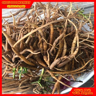 Củ sâm đất tươi 1kg vùng thất sơn dùng nấu nướng uống hay ngâm rượu.