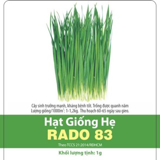 Hạt giống hẹ 83