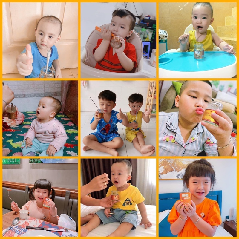 Combo 6 hũ Yến chưng sẵn 30% yến Lamnes cho bé - yensaocaocaplamnest