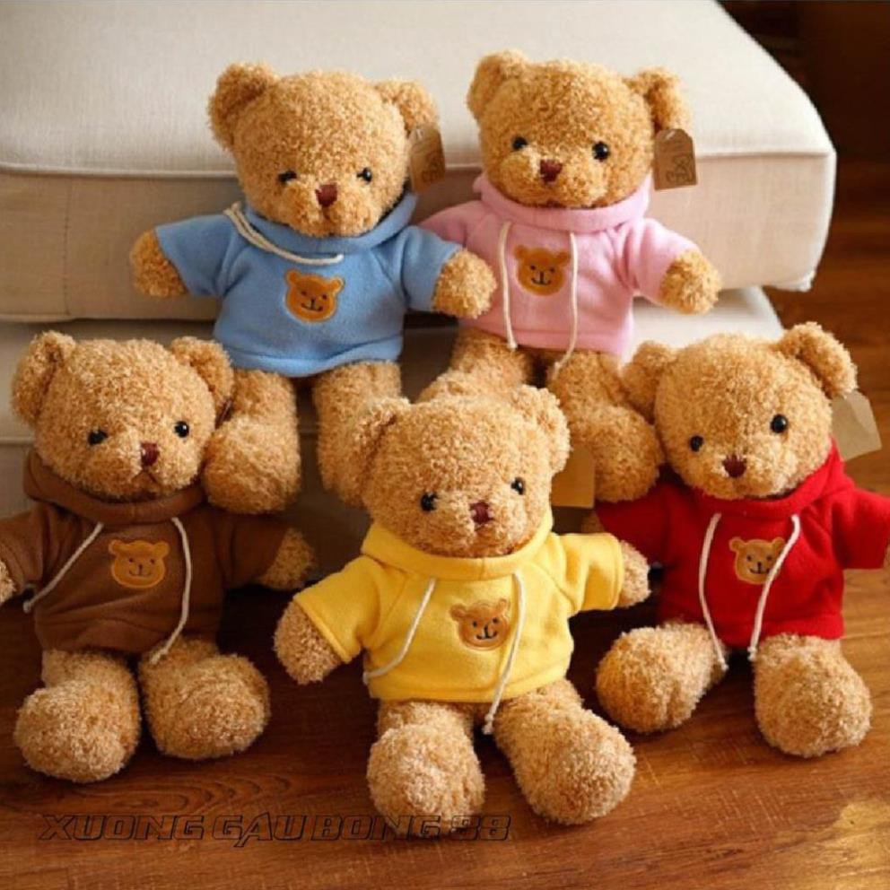 Gấu Bông Đồ Chơi cho bé Teddy Mặc Áo Hoodie Nhiều Màu Nhồi Gòn Cao Cấp Bao Xinh