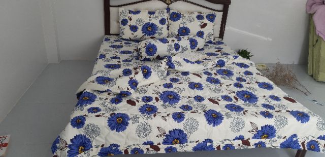 Drap thắng lợi 100% 1m6 +3 áo gối 100%cotton