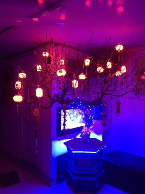 Dây đèn lồng trang trí cao cấp lễ tết, liên hoan, cưới hỏi