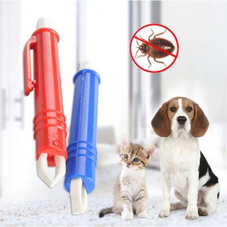Dụng cụ loại bỏ bọ chét cho thú cưng