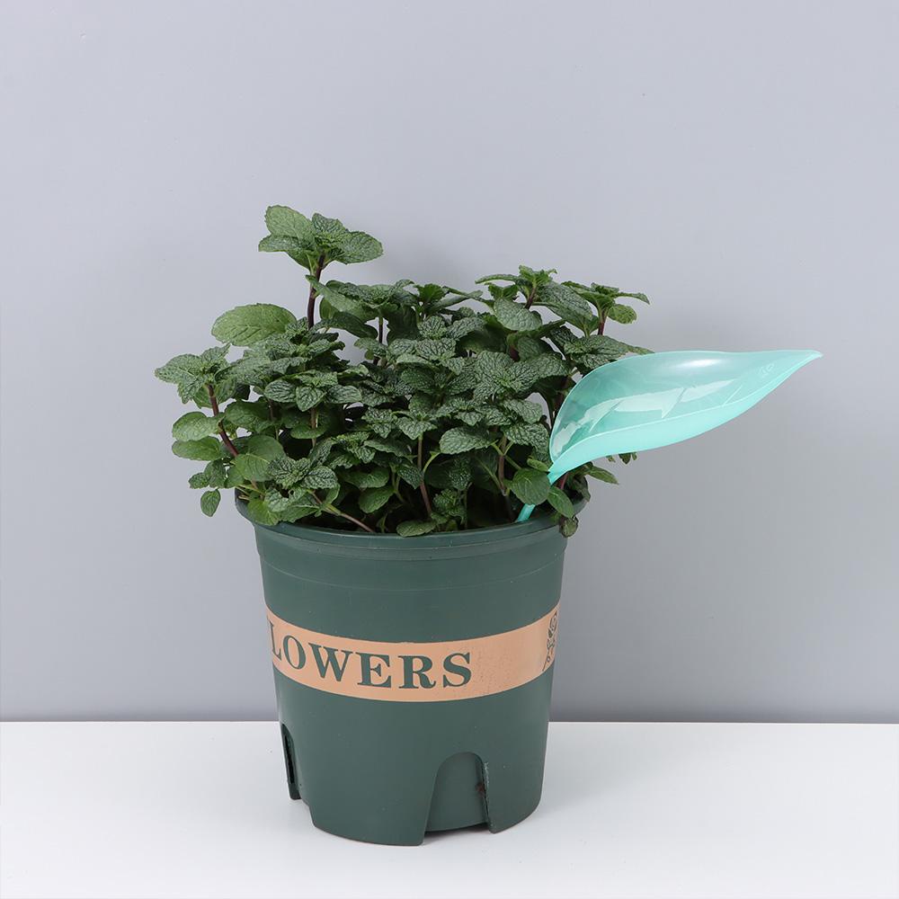 Phễu Hỗ Trợ Tưới Cây Nhỏ Giọt Tiện Dụng Chất Lượng Cao