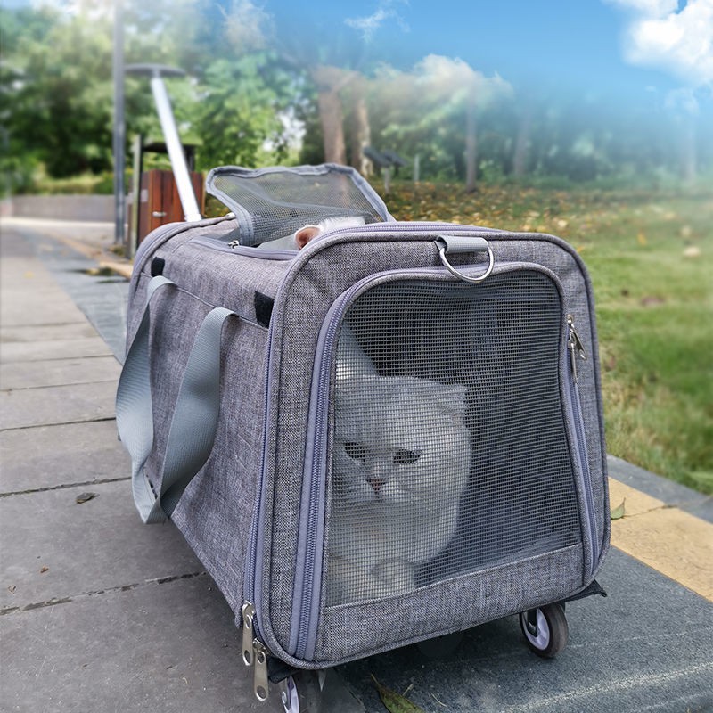 hộp đựng xe đẩy túi cho mèo, kích thước lớn, hai con vật nuôi di động, xách chó gấp một vai có thể tháo rời thoáng khí
