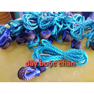 Dây cột chân gà tre và gà nòi
