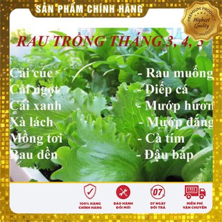 COMBO 12 GÓI hạt giống rau trồng tháng 3, 4, 5 ( tiết kiệm 35%)