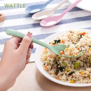 Muỗng súp nhiều màu lúa mạch