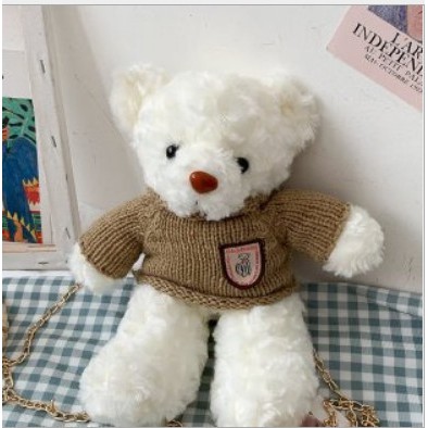 PVN23963 Túi gấu bông Teddy T2