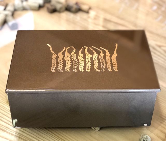 Đông Trùng Hạ Thảo Na Khúc Tây Tạng Hộp 40g 120 Con