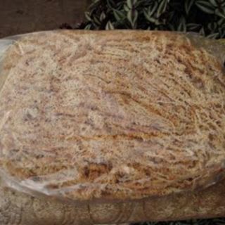 Chất trồng cây bắt mồi(dớn)