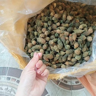 Mướp đắng rừng sấy khô chuẩn loại 1