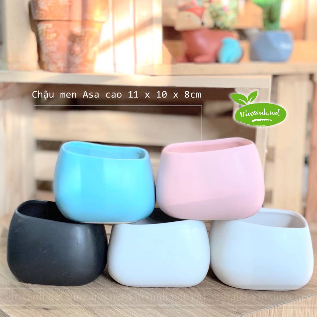 Chậu trồng cây cảnh nội thất mini để bàn trang trí bàn học nhà cửa men mát Bát Tràng-mẫu Méo Cao